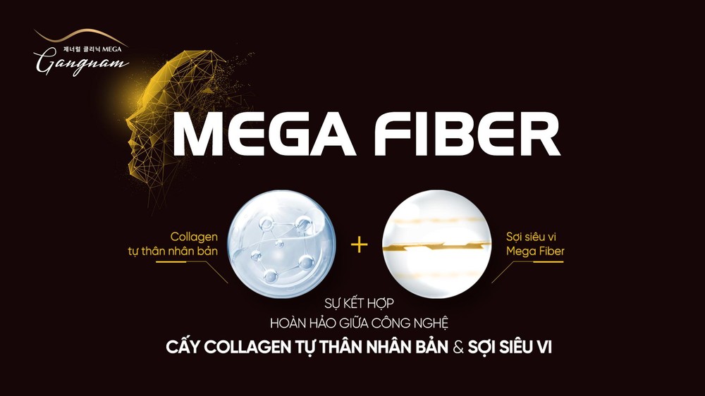 Vì sao Mega Gangnam sẵn sàng “liều lĩnh” với dịch vụ mega fiber? - Ảnh 2.