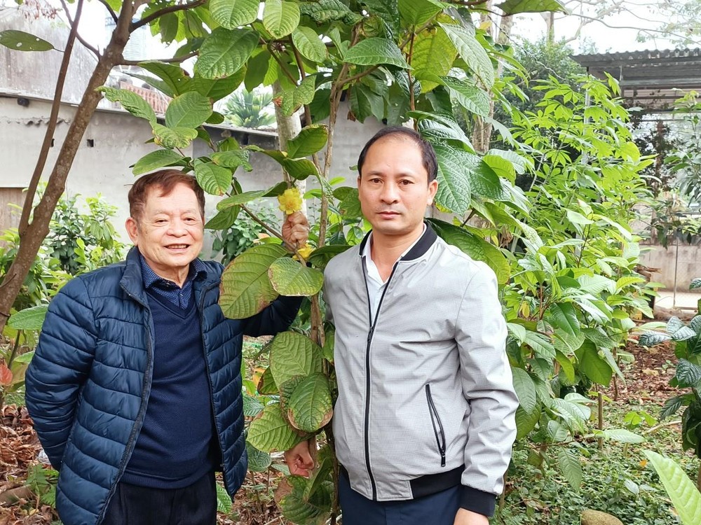 Hakoda Ninh Việt Nam ra mắt Nimellia trà hoa vàng sau 30 năm cần mẫn của vị giáo sư - Ảnh 2.