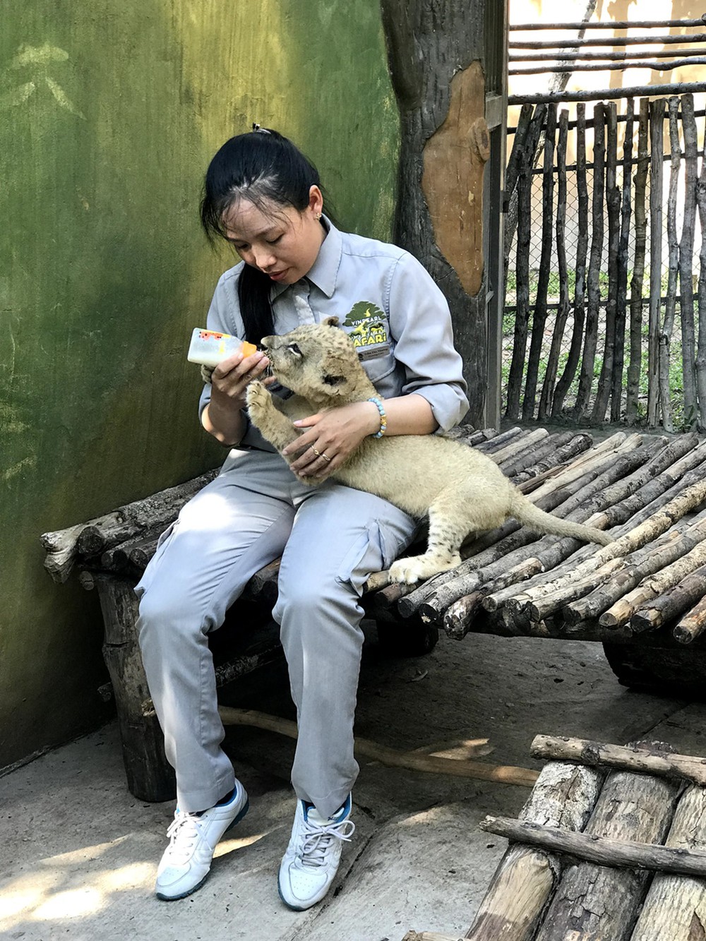Những ca khó ở “kỳ quan hoang dã” hơn 500 ha Vinpearl Safari Phú Quốc - Ảnh 4.