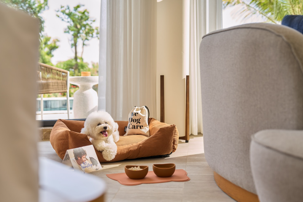 ‏Meliá Hotels International mở rộng danh mục tại Việt Nam với Meliá Serenity Cam Ranh‏- Ảnh 1.