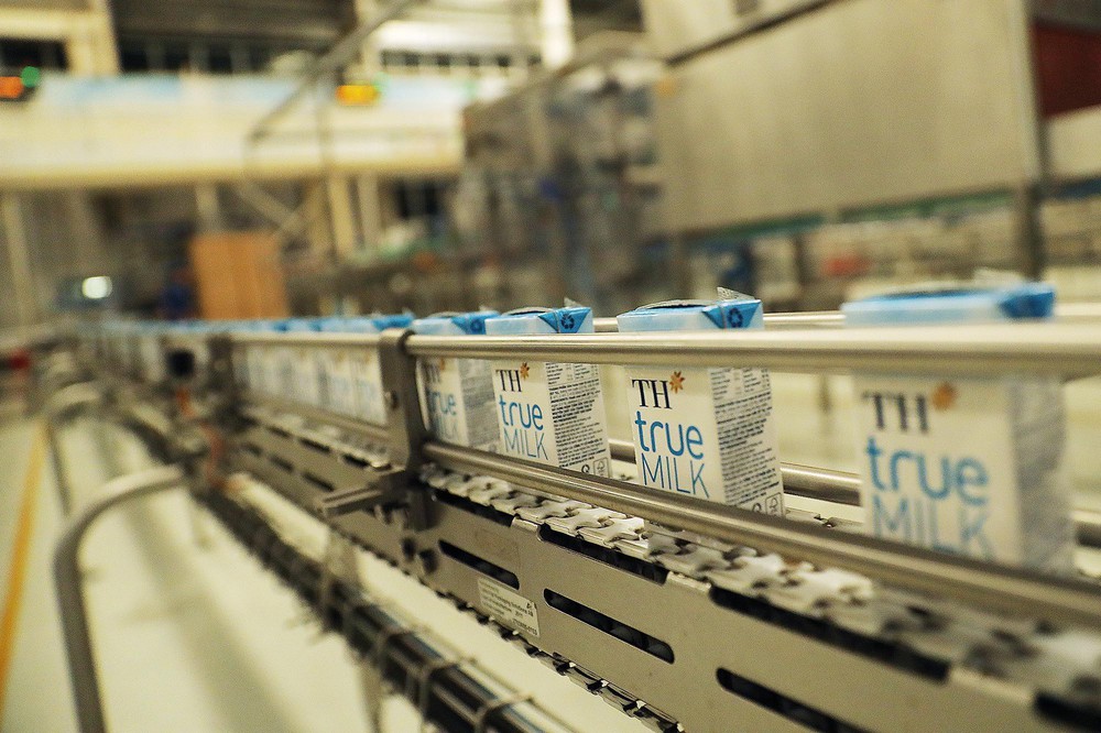 Từ cánh đồng hướng dương 150 ha đến kỷ lục thế giới năm 2026 của TH true MILK- Ảnh 3.