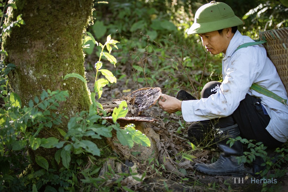 Anh hùng Lao động Thái Hương: Định vị Thương hiệu quốc gia bằng trí tuệ, công nghệ cao và phát triển xanh- Ảnh 6.