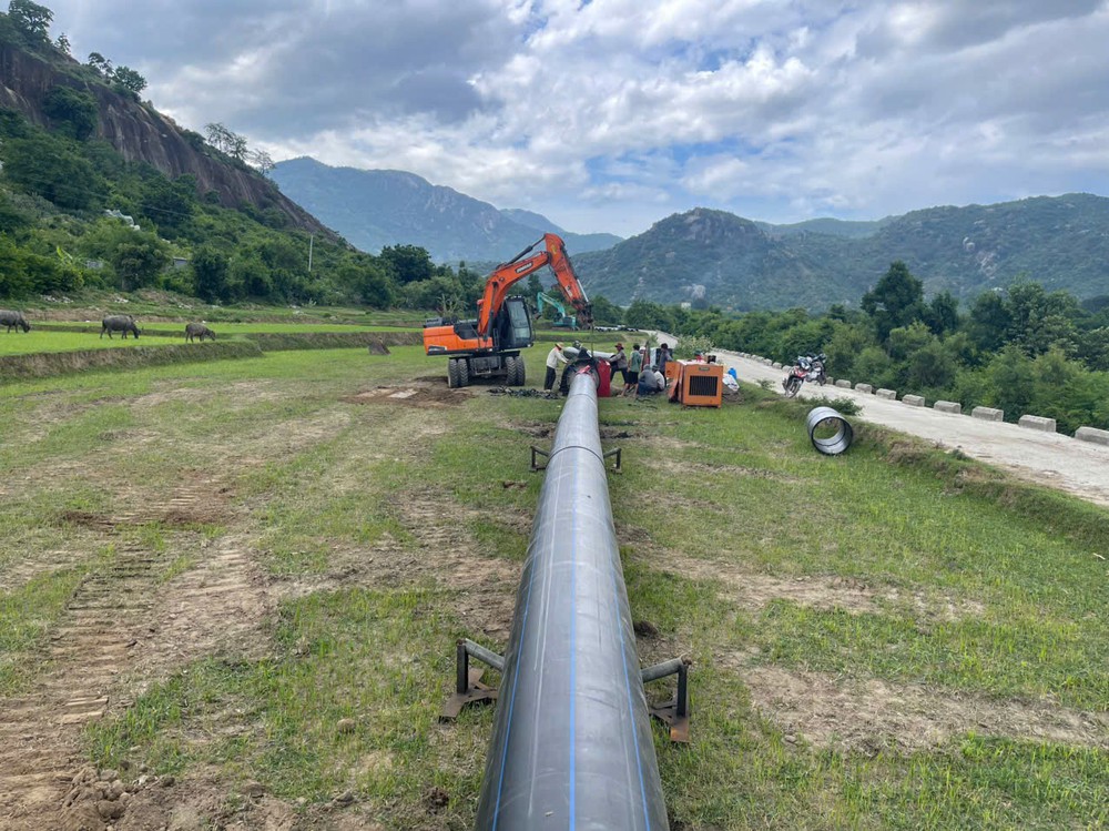 Nhựa Đồng Nai ba kỳ liên tiếp đạt Thương hiệu Quốc gia, tiếp nối 50 năm phát triển - Ảnh 2.