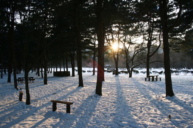 Lạc trong bản tình ca của mùa đông Hàn Quốc - Ảnh 3.