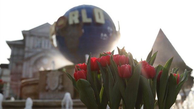 Hơn triệu bông tulip biến Bà Nà thành “xứ sở Hà Lan” - Ảnh 6.