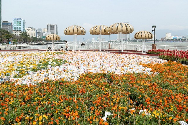 Sun Group tài trợ 5 tỷ đồng tạo dựng Đường hoa xuân Kỷ Hợi bên sông Hàn - Ảnh 3.
