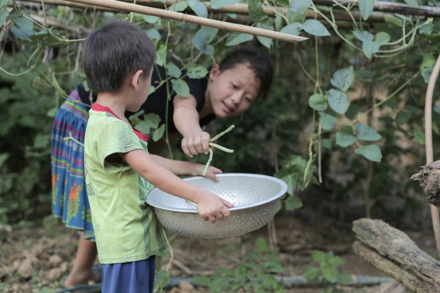 Những em b&eacute; rẻo cao v&agrave; b&aacute;t cơm n&oacute;ng m&ugrave;a tựu trường - Ảnh 6.