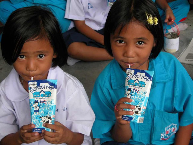 Những kết quả ấn tượng của chương trình Sữa học đường - Ảnh 1.