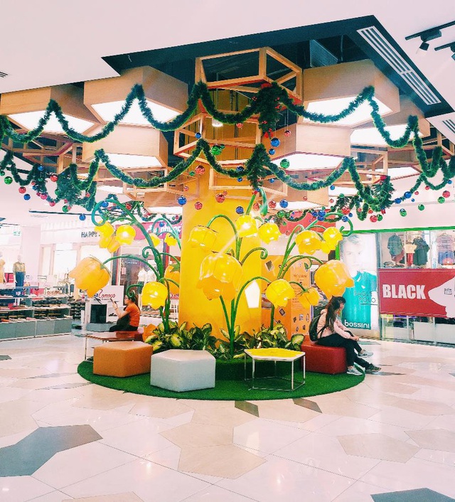 Cây thông nón lá úp ngược “siêu to khổng lồ” xuất hiện tại Vạn Hạnh Mall - Ảnh 8.
