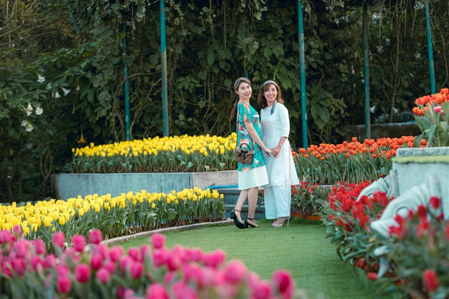 Du xuân chơi Tết, nhất định phải ghé Bà Nà ngắm thiên đường hoa tulip bậc nhất Việt Nam - Ảnh 1.