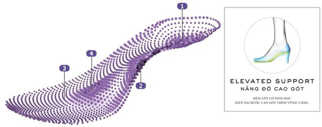 Hội thảo Vì sức khỏe đôi chân cùng Vionic – công nghệ giày tiên tiến từ Mỹ - Ảnh 10.