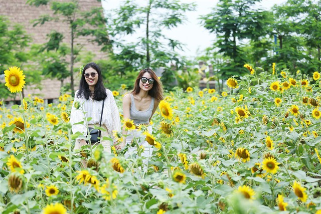 Cực hot: Đại tiệc tr&agrave; sữa miễn ph&iacute; tại c&ocirc;ng vi&ecirc;n rồng ở Hạ Long - Ảnh 5.