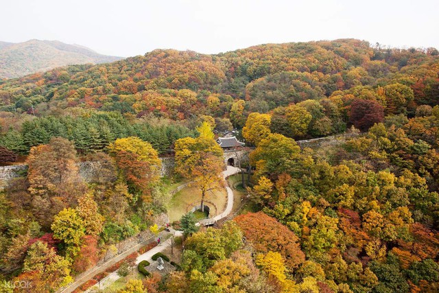Gyeonggi - Chân trời du học lý tưởng tại Hàn Quốc - Ảnh 1.