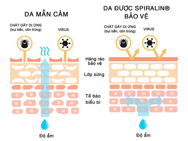 Khiên chắn bảo vệ da trong mùa hè nắng nóng - Ảnh 3.