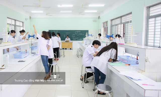Trường Cao đẳng Việt Mỹ hợp tác đào tạo và tuyển dụng cùng quỹ đầu tư Tael Pantaleaon - Ảnh 1.