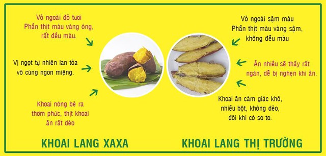 Khoai lang và rau má, tưởng không “hot” mà lại “hot” không tưởng - Ảnh 5.