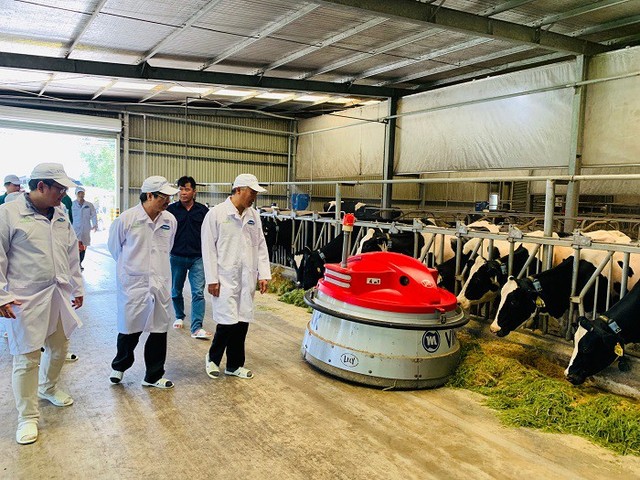 Xây dựng vùng chăn nuôi bò sữa an toàn dịch bệnh được quốc tế công nhận tại Tây Ninh - Ảnh 4.