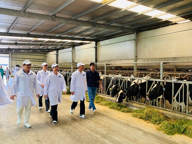 Xây dựng vùng chăn nuôi bò sữa an toàn dịch bệnh được quốc tế công nhận tại Tây Ninh - Ảnh 5.