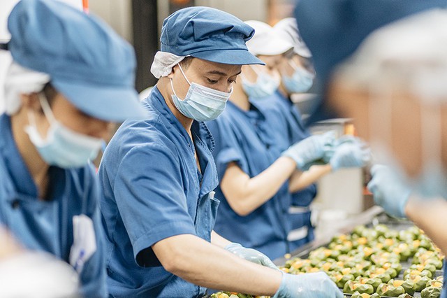 B&aacute;nh Trung thu cao cấp VinMart Cook được sản xuất kỳ c&ocirc;ng như thế n&agrave;o? - Ảnh 1.
