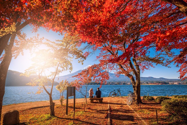 Ưu đ&atilde;i gi&aacute; tour đến 10 triệu đồng tại hội chợ ITE 2019 - Ảnh 3.