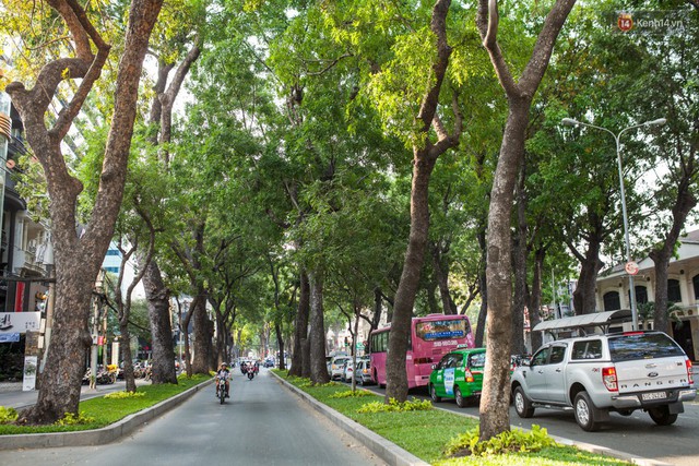 Chẳng riêng gì “Thỏ trắng” Jun Phạm, những con đường Sài Gòn xưa cũ cũng là nỗi nhớ của bao người - Ảnh 2.