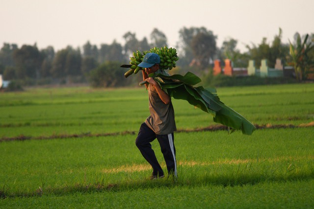 Hành trình đi tìm hạnh phúc cho bệnh nhi nghèo - Ảnh 4.