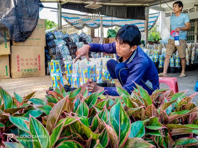 Làng hoa Sa Đéc vào mùa trẩy hội - Ảnh 5.