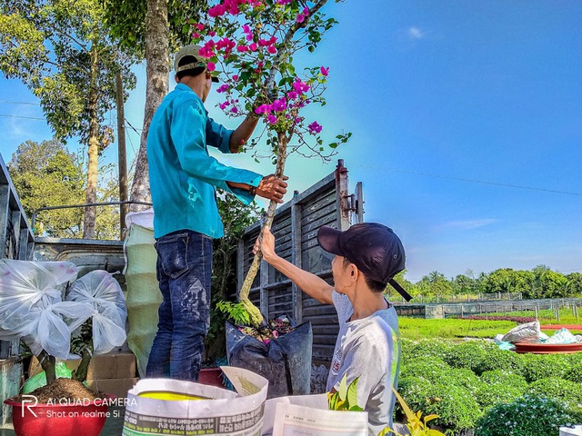 Làng hoa Sa Đéc vào mùa trẩy hội - Ảnh 6.