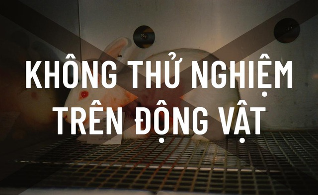 COCOON – Mỹ phẩm thuần chay “Made in Vietnam” và sự lột xác ngoạn mục của một thương hiệu Việt - Ảnh 8.