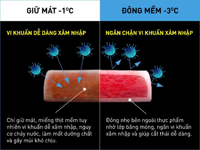 Hiểu đ&uacute;ng về c&ocirc;ng nghệ đ&ocirc;ng mềm chuẩn tr&ecirc;n tủ lạnh hiện nay - Ảnh 1.