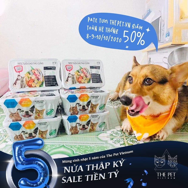 Tri ân tưng bừng, mừng sinh nhật 5 năm cùng thức ăn chó mèo The Pet Việt Nam - Ảnh 2.