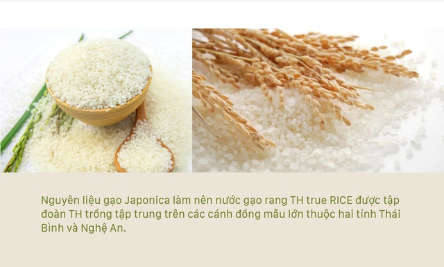 Nước gạo rang - đồ uống “hot trend”: Nhiều thương hiệu, nhưng có một loại đặc biệt ngon và lành không nên bỏ qua - Ảnh 2.