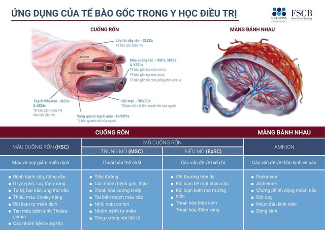 Năm 2020 khó khăn, sao Việt vẫn mạnh tay chi khủng để lưu trữ tế bào gốc cho “chuột vàng” của mình - Ảnh 1.