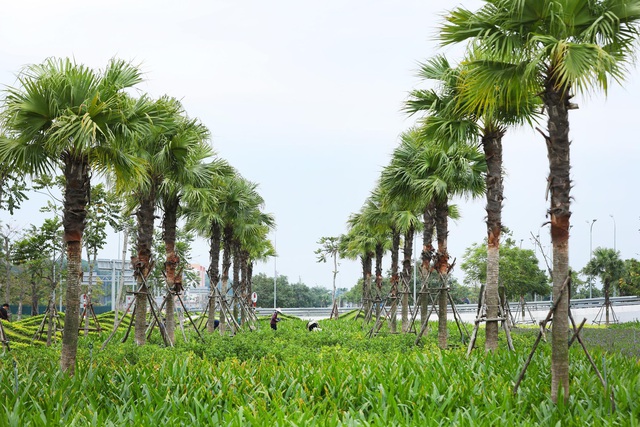 Không cần bay tới Singapore, ngay tại Quảng Ninh cũng đã có sân bay sinh thái đẹp như resort, xanh không kém Changi - Ảnh 8.