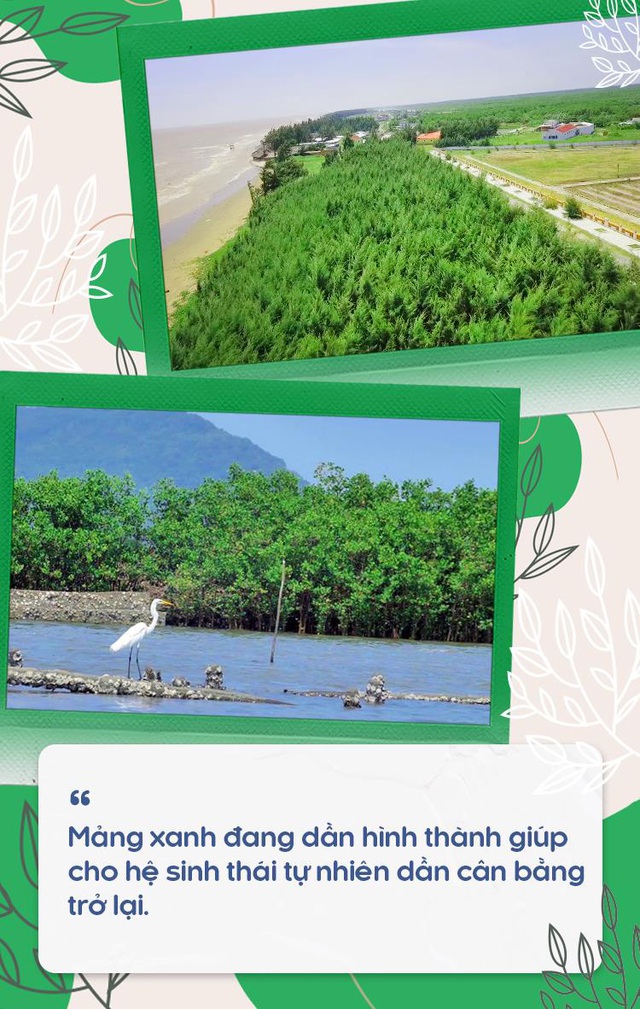 Gần một thập kỷ truyền cảm hứng của hành trình mang tên “Một triệu cây xanh” - Ảnh 4.