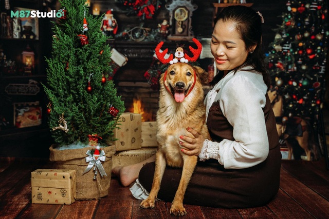 Cảm động bộ ảnh Giáng sinh dành cho cún cơ nhỡ từ M87 và đội cứu hộ Sài Gòn Time - Ảnh 7.