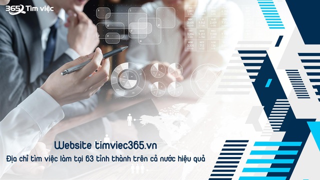 Website timviec365.vn – điểm đến tin cậy cho người tìm việc làm kế toán, kiểm toán - Ảnh 2.