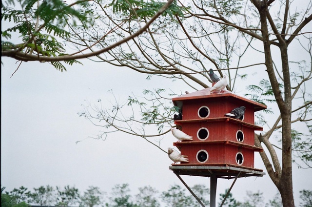 Khuôn viên thơ mộng như trời Âu của ngôi trường chính hãng Made in Vietnam - Ảnh 4.