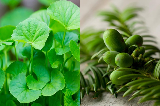 Điểm danh 2 th&agrave;nh phần nổi như cồn gi&uacute;p phục hồi cực nhanh da mụn tổn thương - Ảnh 1.