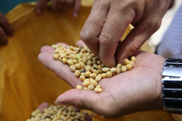 Vinasoy gặt hái thành tựu mới trong chọn tạo giống và phát triển vùng nguyên liệu đậu nành - Ảnh 2.