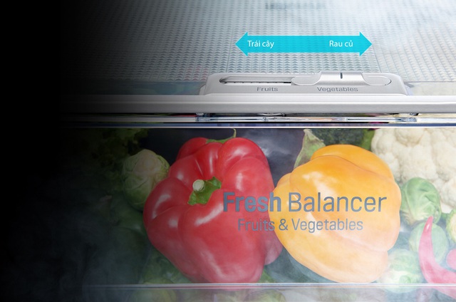 Chọn mua tủ lạnh: chi tiết nhỏ giúp tiết kiệm lớn - Ảnh 2.