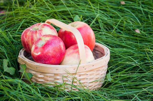 Washington Apple - Nơi bạn c&oacute; thể t&igrave;m thấy những quả t&aacute;o ngon v&agrave; chất lượng tuyệt vời - Ảnh 2.