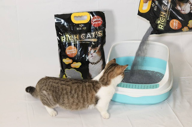Cạnh tranh thị trường cát vệ sinh cho mèo: Ngàn tính năng, trăm sản phẩm - Ảnh 1.