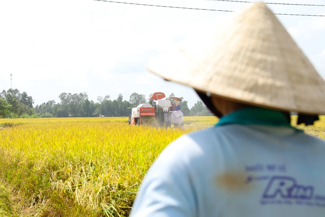 Tập đoàn Tân Long và mục tiêu phát triển hạt gạo Việt dài hạn - Ảnh 1.