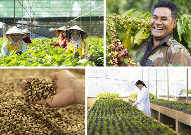 Hạt cà phê Việt Nam dưới góc nhìn người trẻ: Khi những trái tim “xanh” cùng kể chuyện nâng niu giá trị bền vững của thiên nhiên - Ảnh 12.