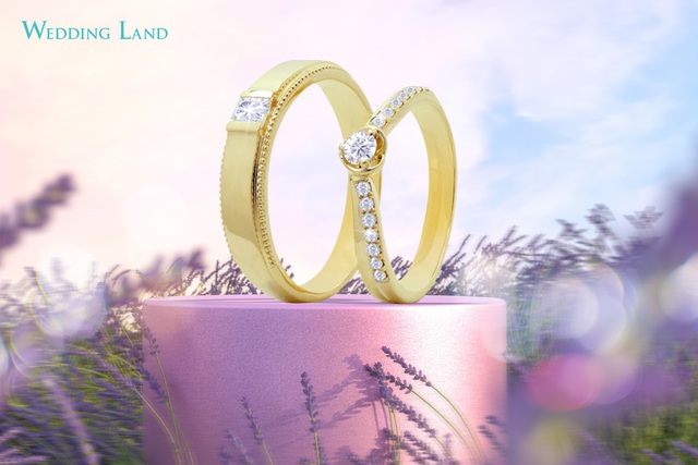 Những mẫu nhẫn cưới đẹp như mơ cho cô dâu yêu thích kim cương - Ảnh 1.