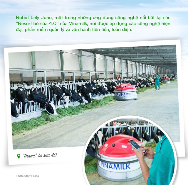 Vinamilk: 15 năm xây hệ thống trang trại với bộ sưu tập các tiêu chuẩn quốc tế - Ảnh 6.