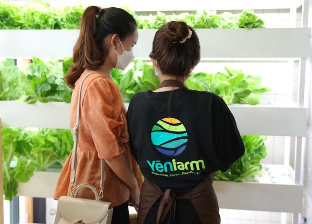 CEO Yen Farm Station chia sẻ về lĩnh vực nông nghiệp công nghệ - Ảnh 2.