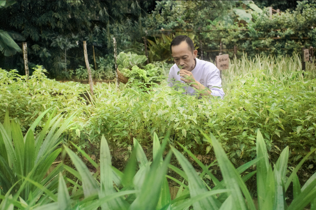 An Lâm Retreats Saigon River chính thức mở cửa trở lại - Ảnh 3.