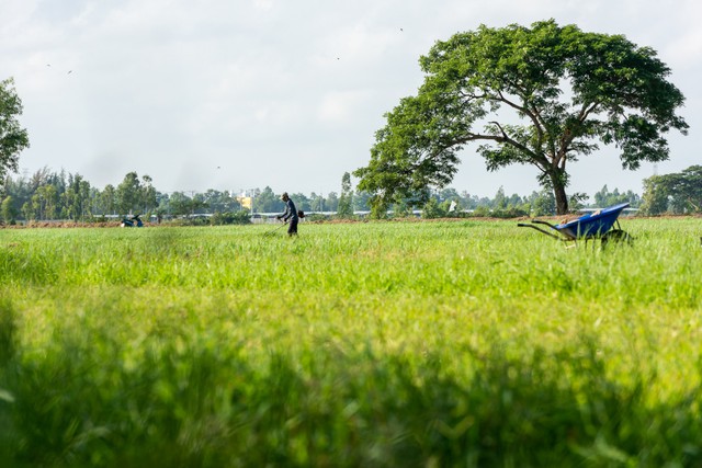 H&agrave;nh tr&igrave;nh mang hương vị sữa tươi S&oacute;c Trăng đến với người ti&ecirc;u d&ugrave;ng Việt - Ảnh 2.